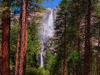 Drzewa, Stany Zjednoczone, Park Narodowy Yosemite, Wodospad Upper Yosemite, Kalifornia