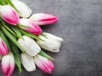 Różowe, Białe, Tulipany