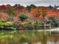 Jesień, Jezioro, Drzewa, Pomost
