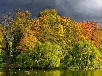 Kaczki, Rzeka, Drzewa, Jesień