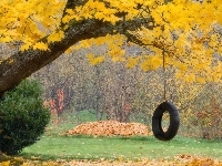 Liście, Jesień, Drzewo, Opona