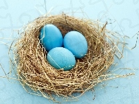 Niebieskie, Ptasie, Gniazdo, Jajeczka