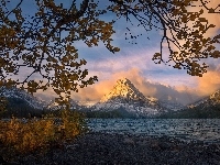 Stan Montana, Drzewa, Jezioro Two Medicine Lake, Park Narodowy Glacier, Szczyt Sinopah Mountain, Stany Zjednoczone, Góry Lewis Range, Gałęzie