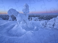 Drzewa, Finlandia, Rezerwat Valtavaara, Mgła, Wzgórze,  Zima, Wschód słońca, Laponia