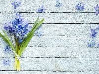 Kwiaty, Bukiet, Niebieskie, Sznurek