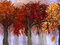 Drzewa, Jesień, Kolorowe, 2D