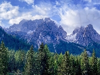 Lasy, Włochy, Dolomity, Mgła, Góry, Prowincja Belluno, Chmury