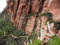 Dolina, Stany Zjednoczone, Drzewa, Rośliny, Skały, Utah, Park Narodowy Zion, Droga, Góry, Kanion