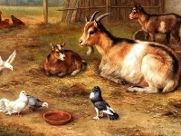 Gołębie, Kozy, Edgar Hunt