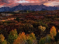 Lasy, Kolorado, Stany Zjednoczone, Dallas Divide, Jesień, Góry