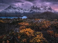 Jesień, Patagonia, Chile, Park Narodowy Torres del Paine, Roślinność, Góry