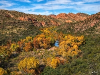 Kanion Sycamore, Jesień, Rzeka, Stany Zjednoczone, Góry, Drzewa, Arizona