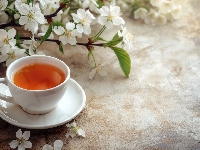 Herbata, Kompozycja, Filiżanka, Kwiaty