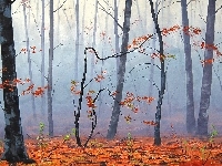 Liście, Las, Reprodukcja, Jesień, Drzewa, Mgła