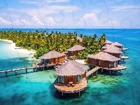 Palmy, Malediwy, Domki, Morze