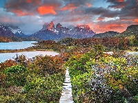Ścieżka, Chile, Drzewa, Roślinność, Niebo, Park Narodowy Torres Del Paine, Góry, Jezioro, Kolorowe, Torres del Paine