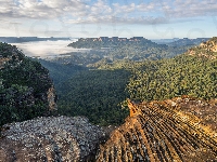 Lasy, Australia, Mgła, Poranek, Góry Błękitne, Nowa Południowa Walia, Dolina, Skały, Tarpeian Rock, Jamison Valley