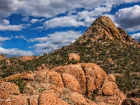 Prescott, Góry, Rośliny, Stany Zjednoczone, Granite Dells, Skały, Arizona