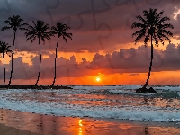 Zachód słońca, Palmy, Morze, Chmury