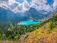 Drzewa, Chmury, Las, Montana, Park Narodowy Glacier, Jezioro St Mary, Stany Zjednoczone, Góry Skaliste