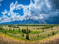 Chmury, Niebo, Góry, Wyoming, Park Narodowy Grand Teton, Drzewa, Stany Zjednoczone, Równina