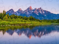 Drzewa, Trawa, Odbicie, Stan Wyoming, Park Narodowy Grand Teton, Rzeka Snake, Stany Zjednoczone, Góry