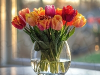 Bukiet, Tulipany, Kolorowe, Tulipan, Wazon Kwiat