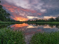 Jezioro, Drzewa, Szuwary, Zachód słońca, Odbicie